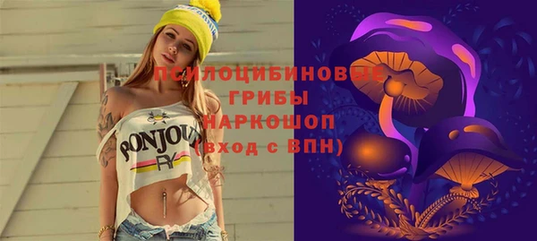 сатива Карпинск